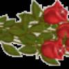 Алые розы - Цветы GIF