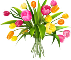 Тюльпаны - Цветы GIF