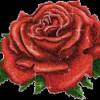 Красная роза - Цветы GIF