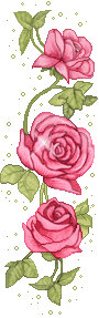 Розовые розы, Цветы GIF