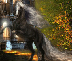 Чёрная лошадь с  белой гривой - Фэнтези и Фантастика