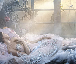 Спящая красавица - Фэнтези и Фантастика