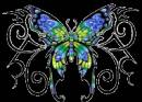 Бабочка - Картинки бабочки анимашки