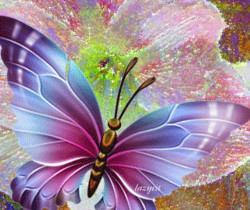 Радужная бабочка на цветке анимация