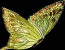 Бабочка блестящая анимация - Картинки бабочки анимашки