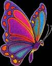 Красивая мерцающая бабочка - Картинки бабочки анимашки