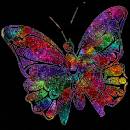Цветная бабочка