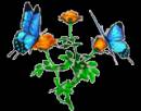 Розы и бабочки - Картинки бабочки анимашки