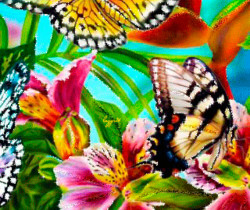 Красочные бабочки - Картинки бабочки анимашки