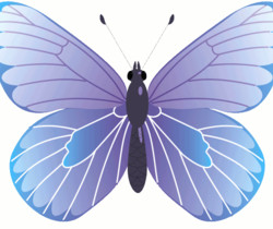 Бабочка машет крыльями