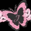 Бабочка украшение - Картинки бабочки анимашки