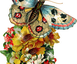 Яркая разноцветная бабочка