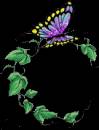 Бабочка на веточке - Картинки бабочки анимашки