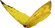 Желтая бабочка анимация