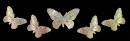 Бабочки блестящие, глиттеры - Картинки бабочки анимашки