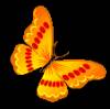 Смайлик Бабочка - Картинки бабочки анимашки