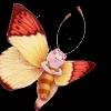 Анимашка бабочка