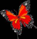 Бабочка искристая - Картинки бабочки анимашки