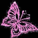 Бабочка блестящая розовая