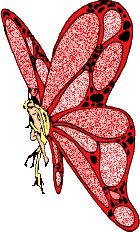 Бабочка блестящая, глиттер - Картинки бабочки анимашки