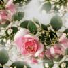 Розовые розы - Бесшовные фоны
