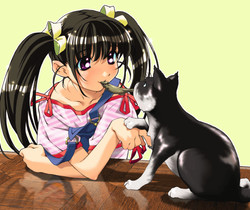 Девочка и кошка аниме
