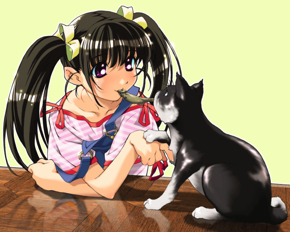 Девочка и кошка аниме - Аниме картинки анимашки