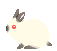 Белый кролик - Смайлики и маленькие картинки анимашки