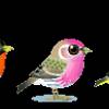 Птички синички - Смайлики и маленькие картинки анимашки