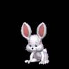 Заяц - Смайлики и маленькие картинки анимашки