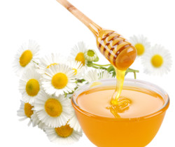 Мёд и ромашки - Картинки клипарт