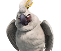 Серьёзный попугай картинки - Картинки клипарт