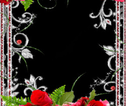 Фото рамка с розами