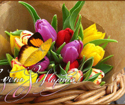 Тюльпаны в день 8 марта - С 8 Марта