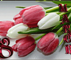 С 8 марта красно белые тюльпаны