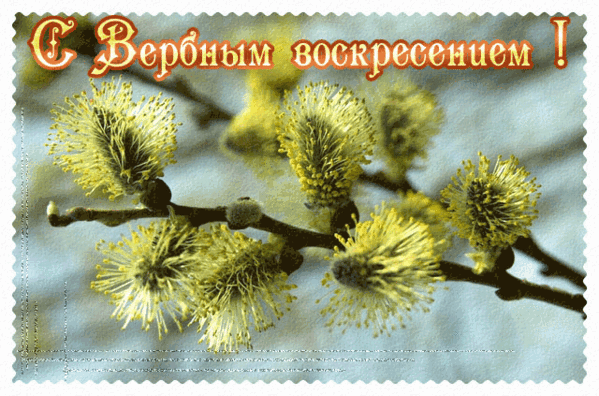 http://images-photo.ru/_ph/37/2/900531559.gif