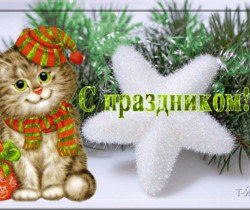 С праздником! Котёнок - С Новым Годом
