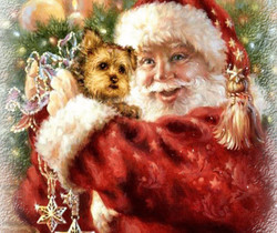 Дед Мороз и собака