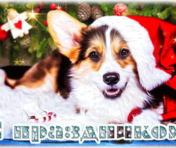 Новогодняя открытка с изображением собаки