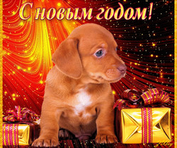 С Новым годом собаки - Год Собаки