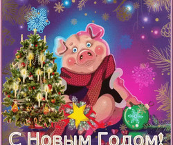Символ Нового года 2019 Свинья - Год Свиньи