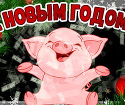 Открытка с новым годом свиньи - Год Свиньи