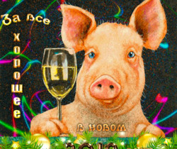 Поздравление от свинки - Год Свиньи