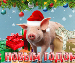 С новым годом свиньи - Год Свиньи