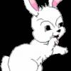 Белый кролик - Анимационные картинки