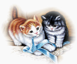 Рисунок с котятами