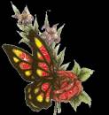 Бабочка блестящая - Блестящие картинки glitter