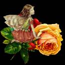 Фея-бабочка и роза - Блестящие картинки glitter