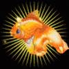 Золотая рыбка - Анимированные аватары