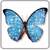 Блестящие и анимационные аватары - бабочка - Анимированные аватары